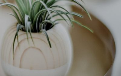 1-Blog